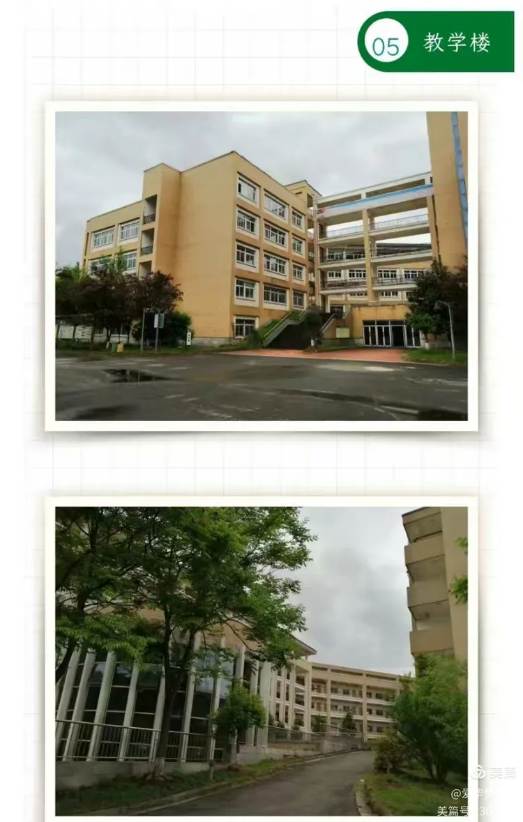 青川一中学简介